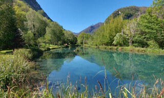 Photo N° 6