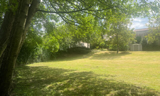 Photo N° 5