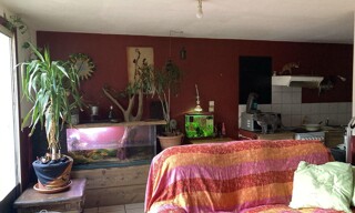 Photo N° 4