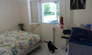 Photo N° 7