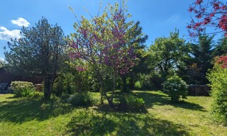 Photo N° 4
