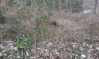 Photo N° 3