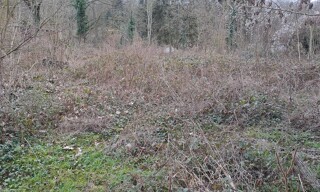Photo N° 4
