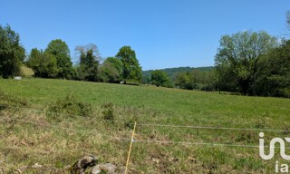 Photo N° 6