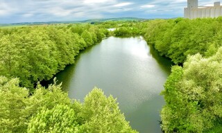 Photo N° 6