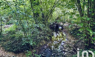 Photo N° 4