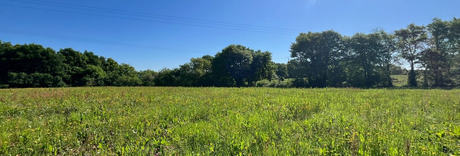 Terrain  3649 m² à vendre à Sault-de-Navailles (64300)