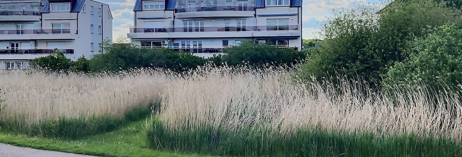 Appartement 2 Pièces 49 m² à vendre à Guénange (57310)