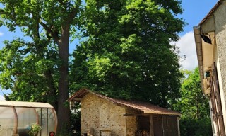 Photo N° 4