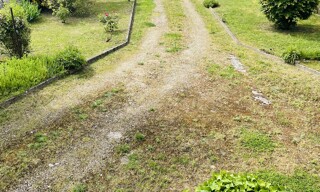Photo N° 6