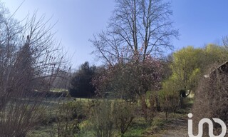 Photo N° 4