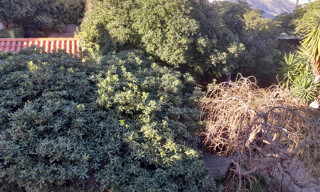 Photo N° 3