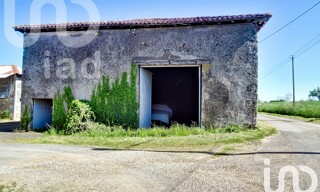Photo N° 6