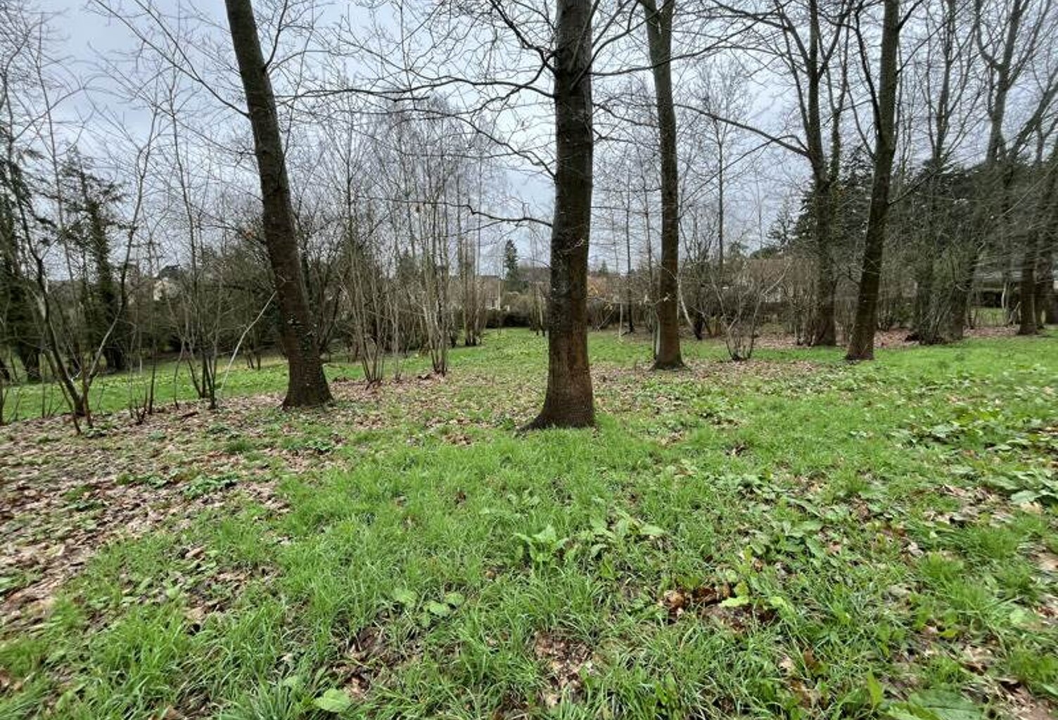 Vente terrain  1164 m² Marines (95640) — photo 1