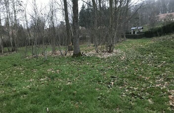Vente terrain  1164 m² Marines (95640) — photo 2