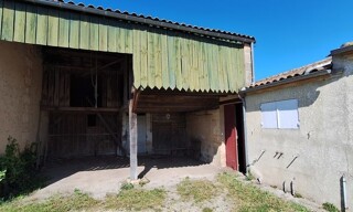 Photo N° 6