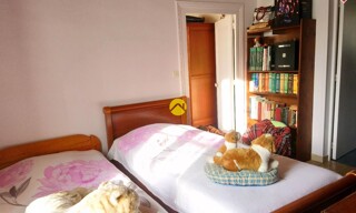 Photo N° 6