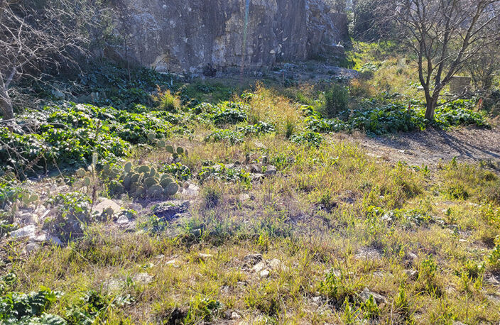 Terrains constructibles de 825 m² à 1299 m² à Villeneuve-lès-Avignon, secteur recherché — photo 2