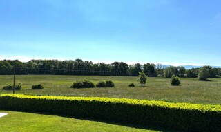 Photo N° 16