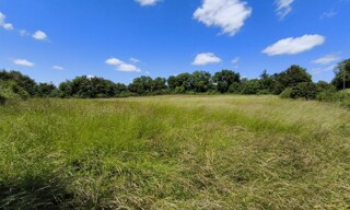Terrain  6857 m² à vendre à Gron (18800)