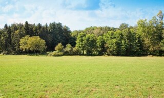 Terrain  2979 m² à vendre à Bonne (74380)