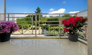 Photo N° 4