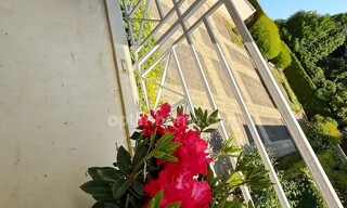 Photo N° 5