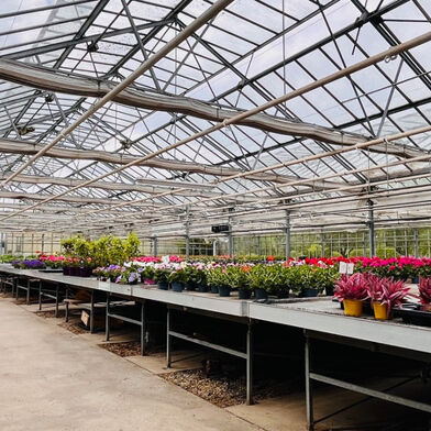 Maison 5 pièces 525000 €