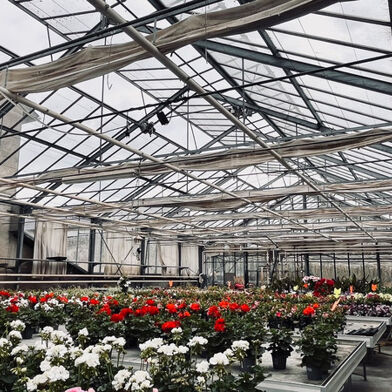 Maison 5 pièces 440000 €