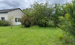 Photo N° 4