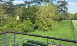 Photo N° 6