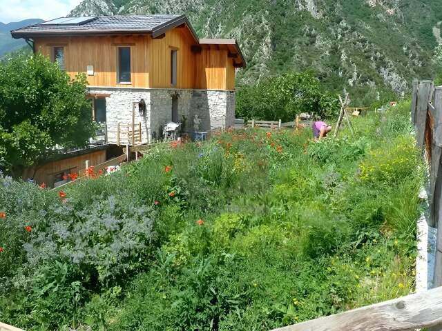 Exclusivité Propriété agricole à Breil — photo du bien