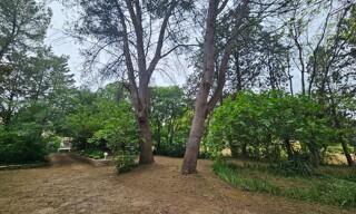 Photo N° 4