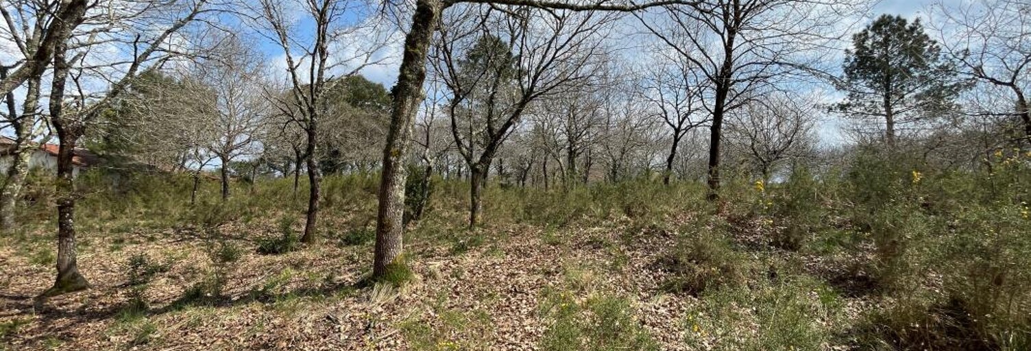 Terrain  3651 m² à vendre à Lit-et-Mixe (40170)