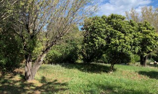 Terrain 410 m² à construire Brignoles (83170)