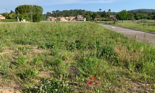 Terrain 358 m² à construire Brignoles (83170)