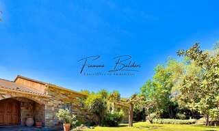 Maison 7 Pièces 269 m² à vendre à Volpajola (20290)