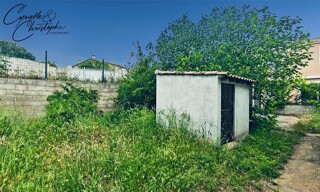 Photo N° 3