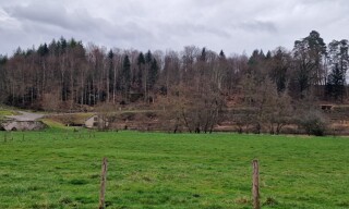 Photo N° 4