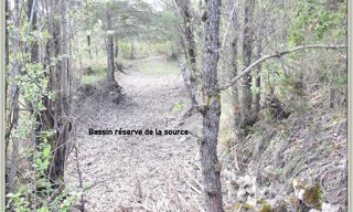 Photo N° 17