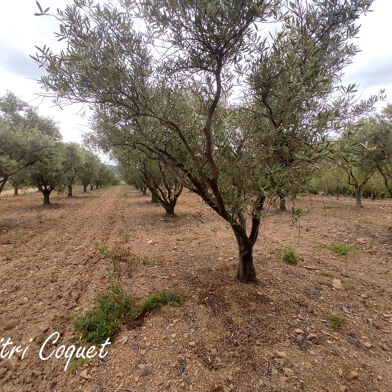 Terrain  29000 €