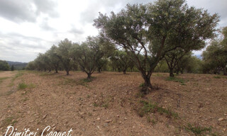 Photo N° 3