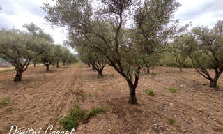 Terrain  7000 m² à vendre à Gabian (34320)