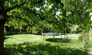 Photo N° 3