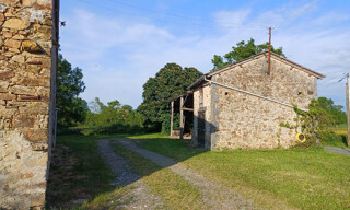 Photo N° 4