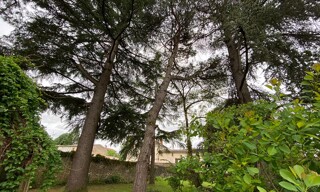 Photo N° 4