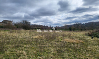 Photo N° 6