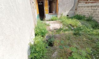 Photo N° 5
