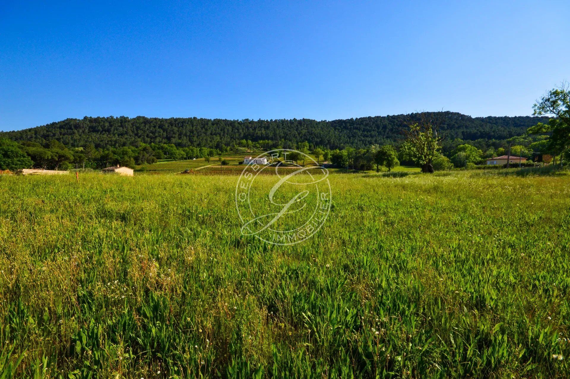 Terrain  à vendre Salernes 83690