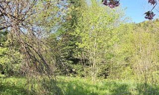 Photo N° 6